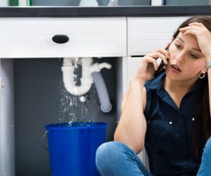 About Plumbers Pros Edenville, MI